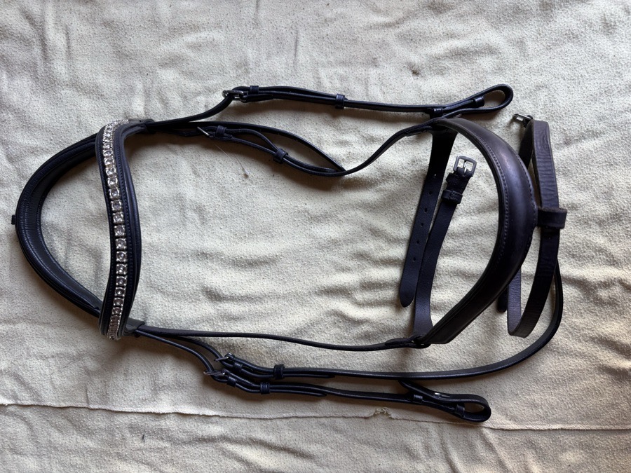 Black OverSize flash bridle