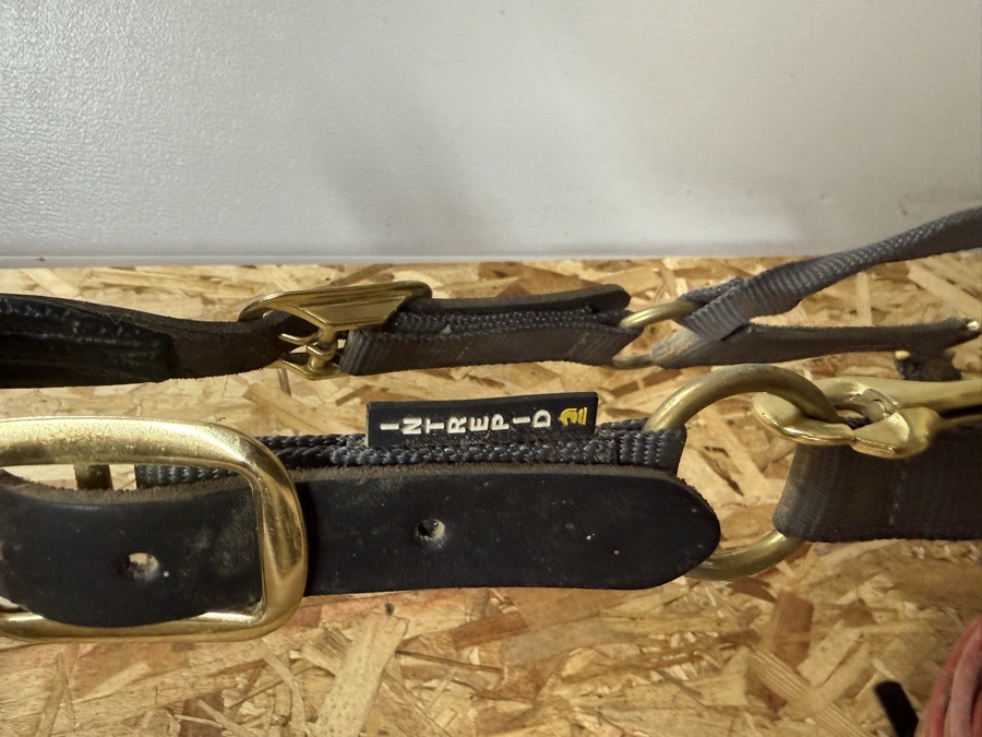 INTREPID Halter
