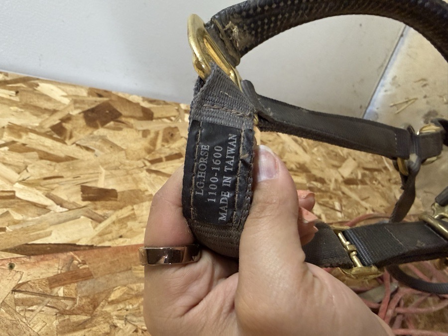 INTREPID Halter
