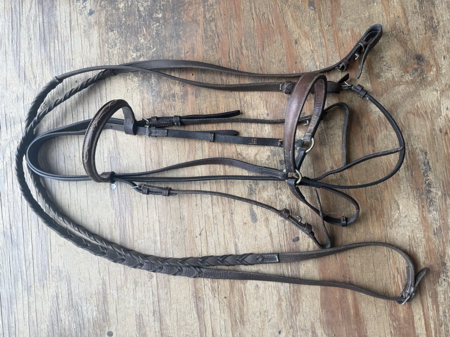 horse sized schooling bridle
