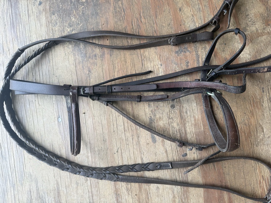 horse sized schooling bridle