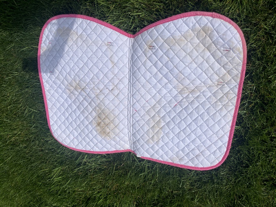 Pink saddle pad with white trim