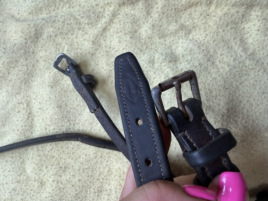 EDGEWOOD Noseband