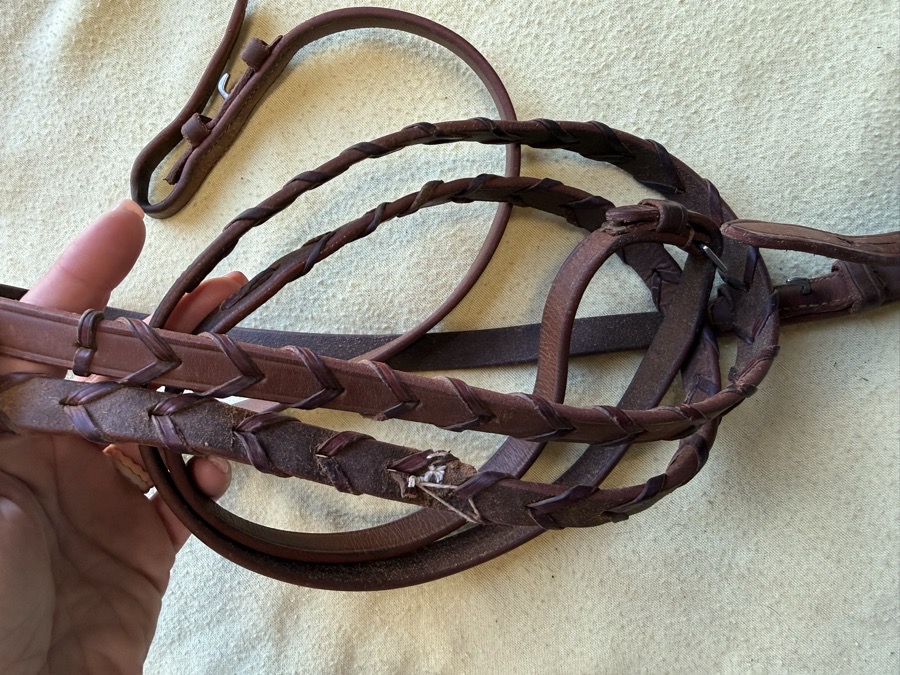 55” light brown laces reins