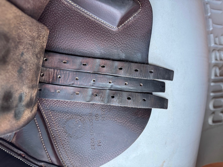 16.5” 2019 CWD SE03 Saddle - 1L - Grain / Buffalo