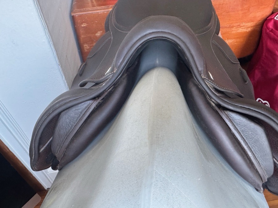 16.5” 2019 CWD SE03 Saddle - 1L - Grain / Buffalo