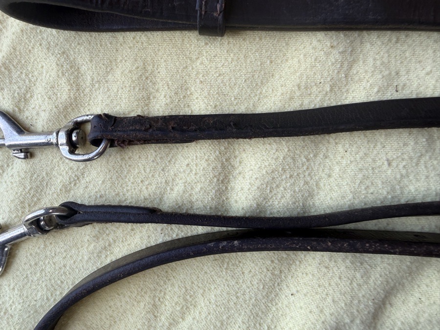 cob sized german martingale