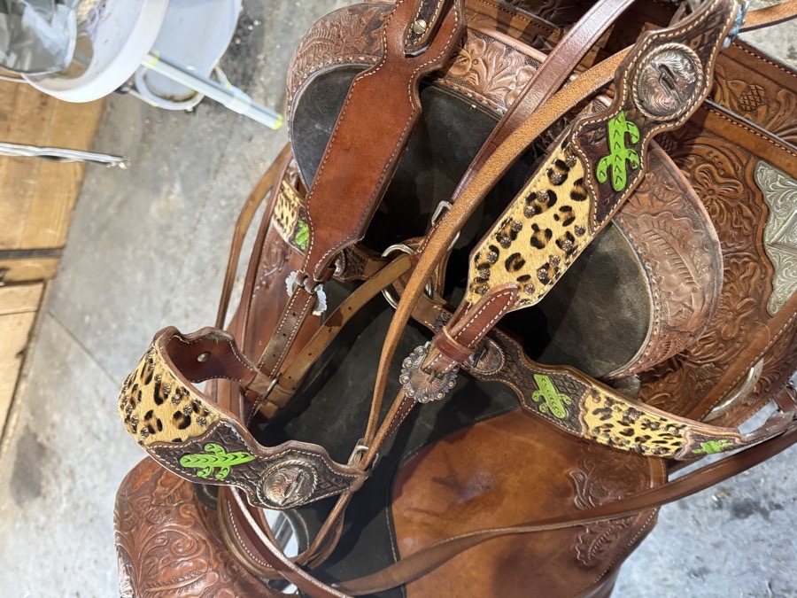 Leopard Western Headstall and Breasr collar Set 