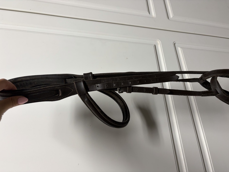 OTHER Bridle Horse