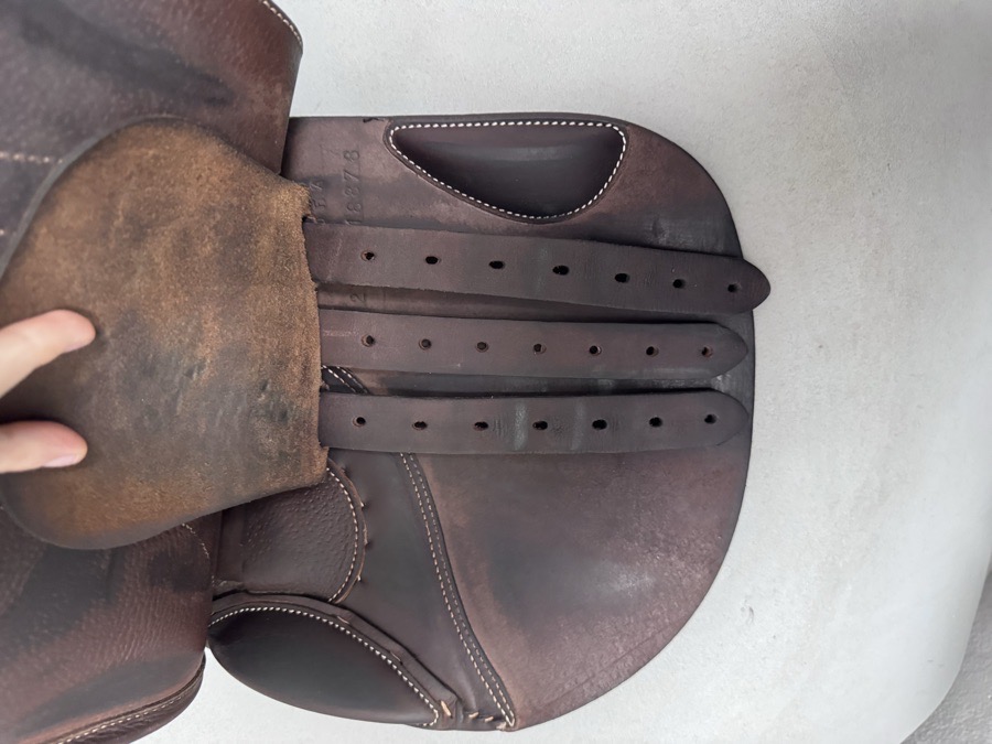 15.5” Baby Butet Premium Saddle - 2021 - Cachou - Full Calf - Integrated Panels