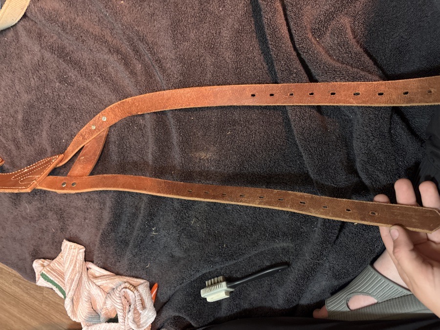 Miracle Collar