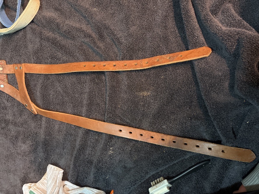 Miracle Collar
