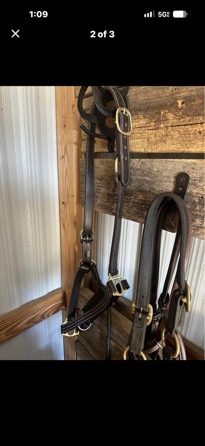 DOVER CIRCUIT Halter/Rope Extra Large