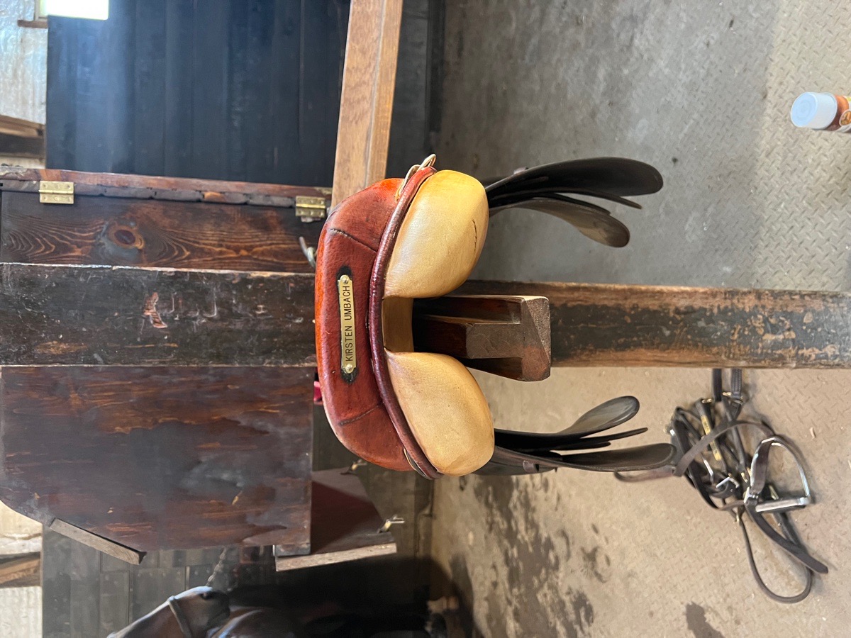16 Beval Saddle for sale!