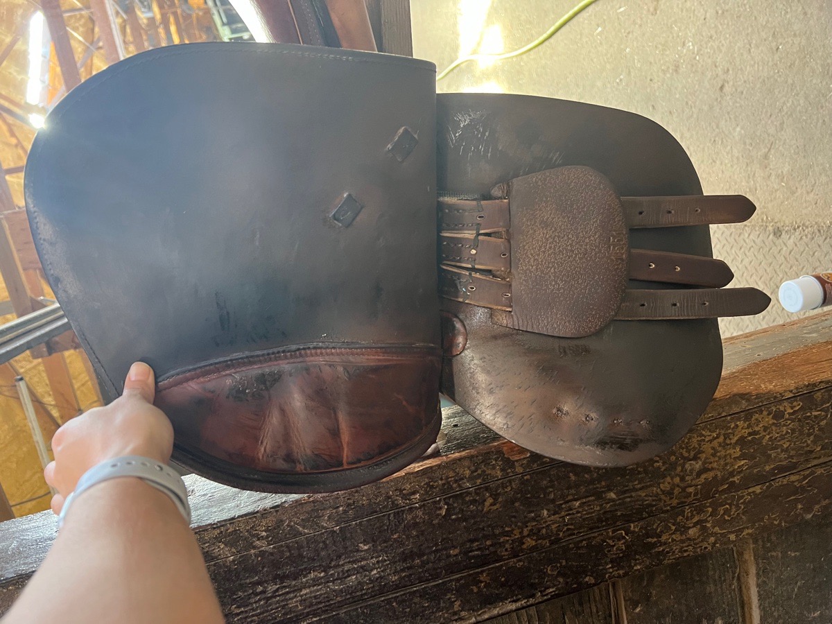 16 Beval Saddle for sale!
