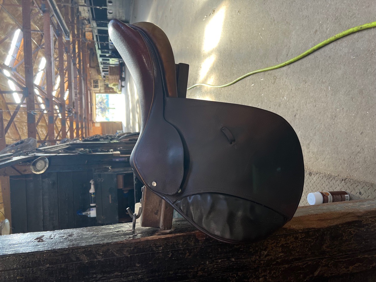 16 Beval Saddle for sale!