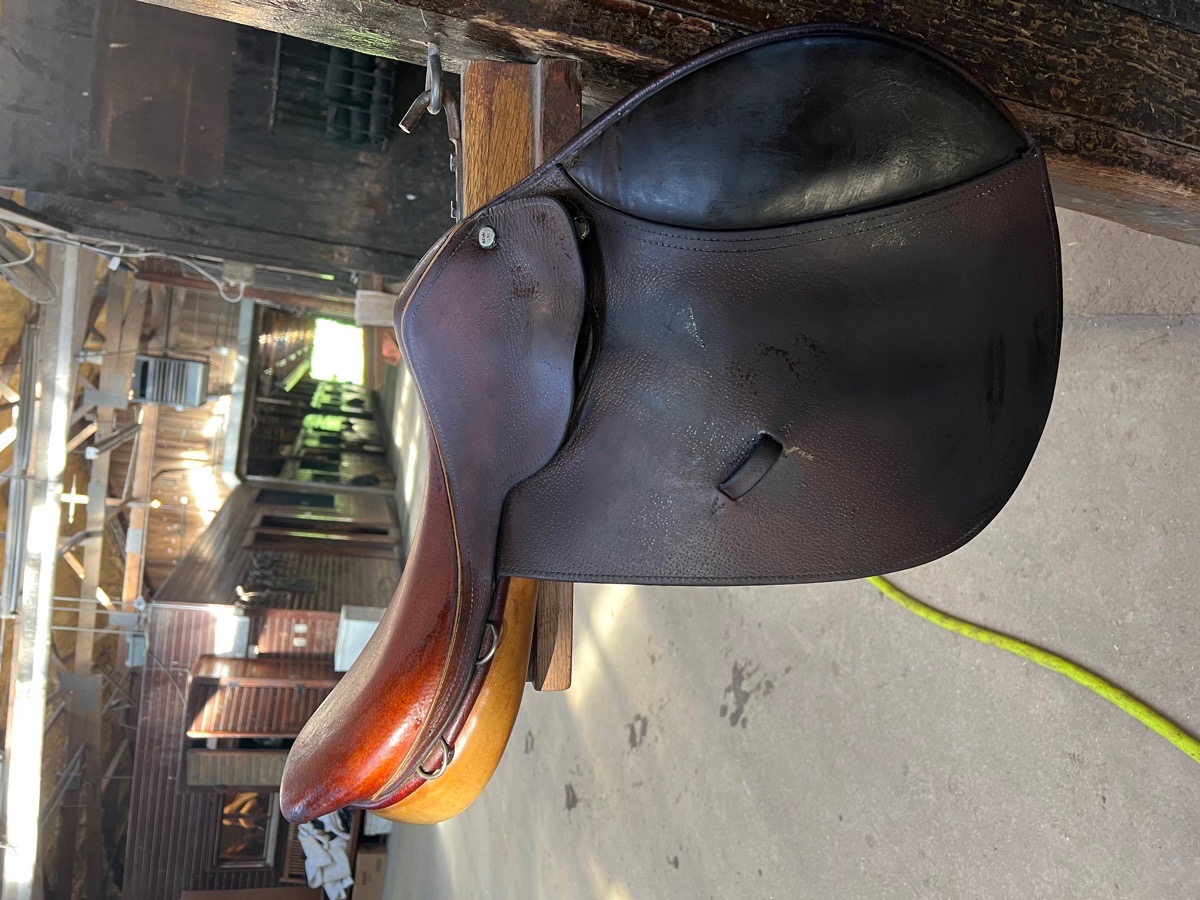 16 Beval Saddle for sale!