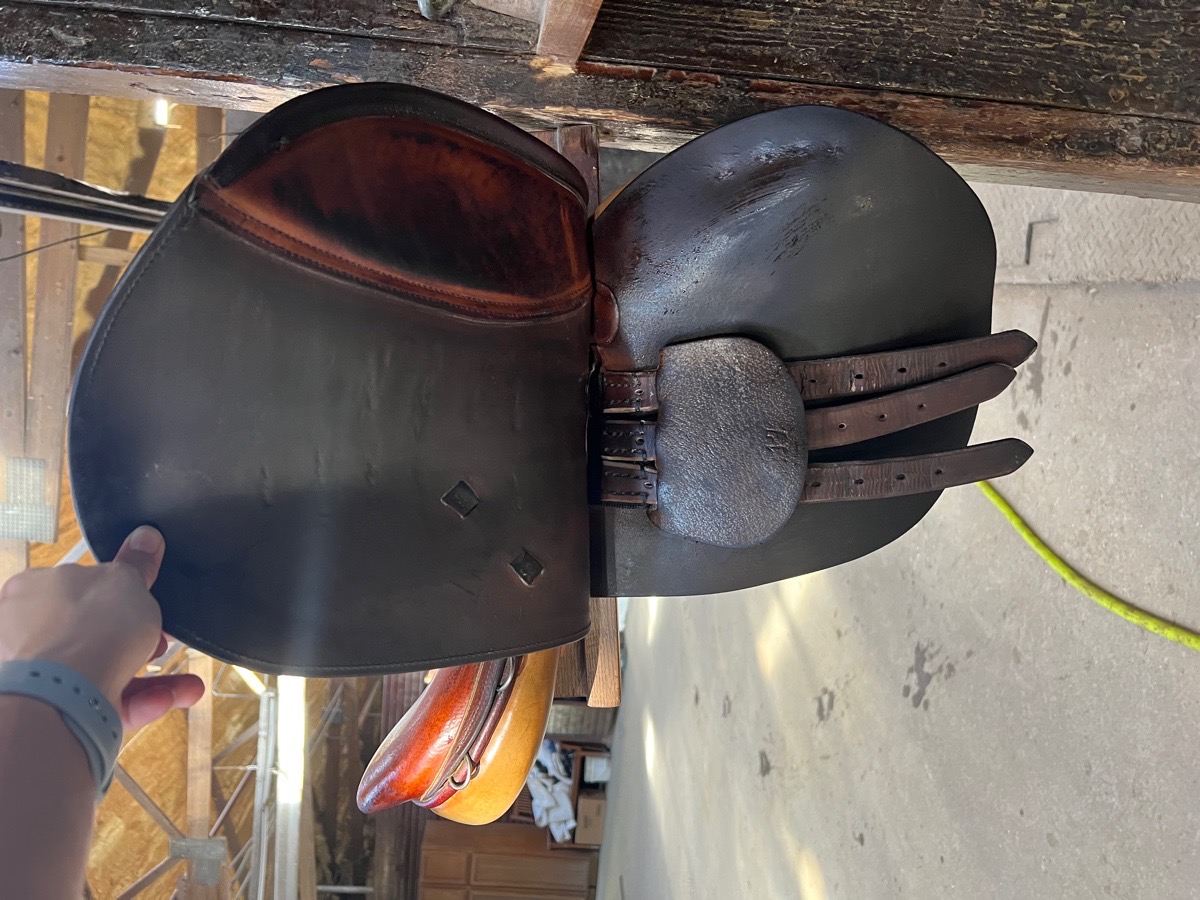 16 Beval Saddle for sale!