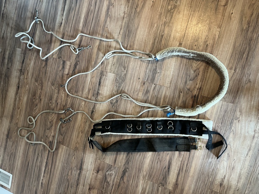Pessoa Lunging/Training System