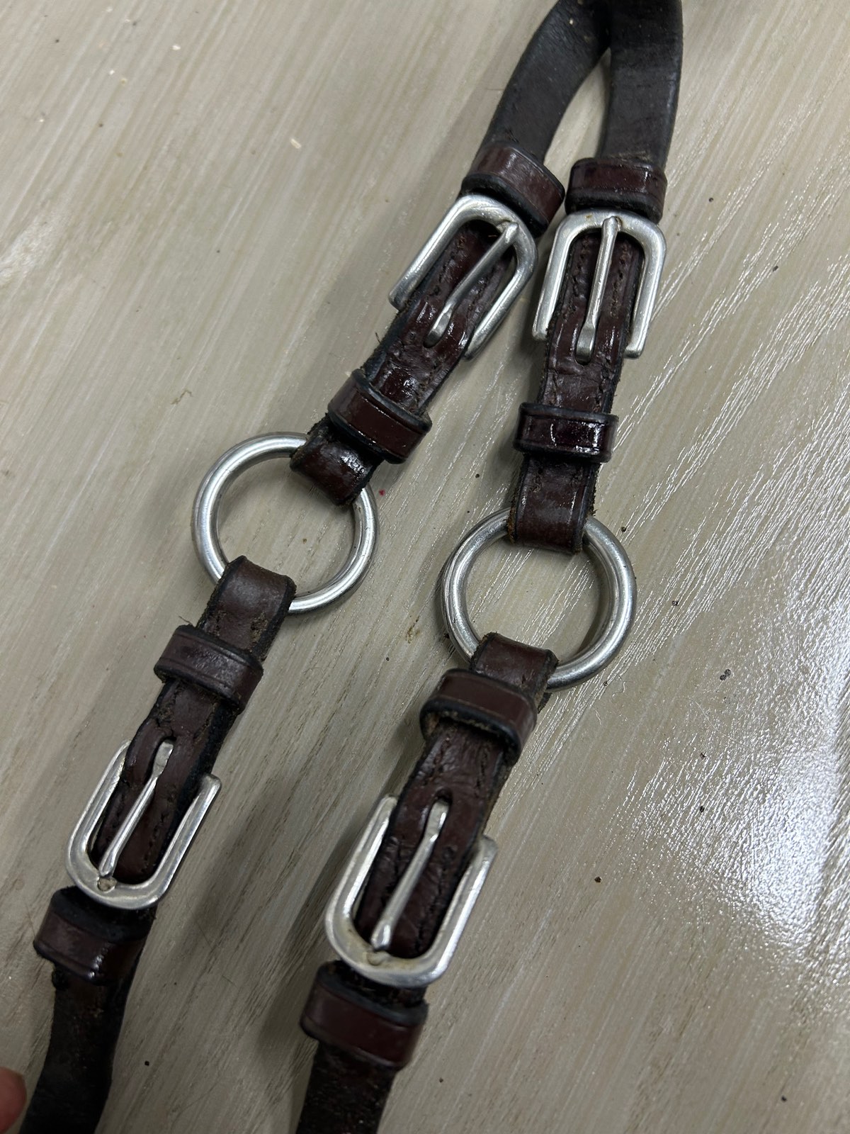 Reins