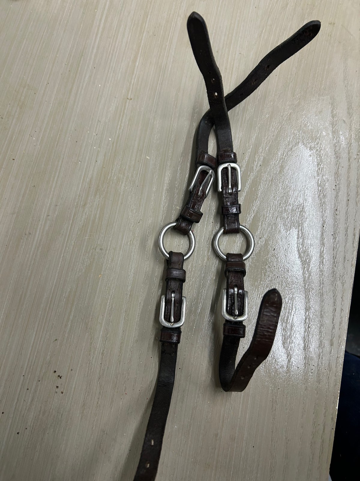 Reins