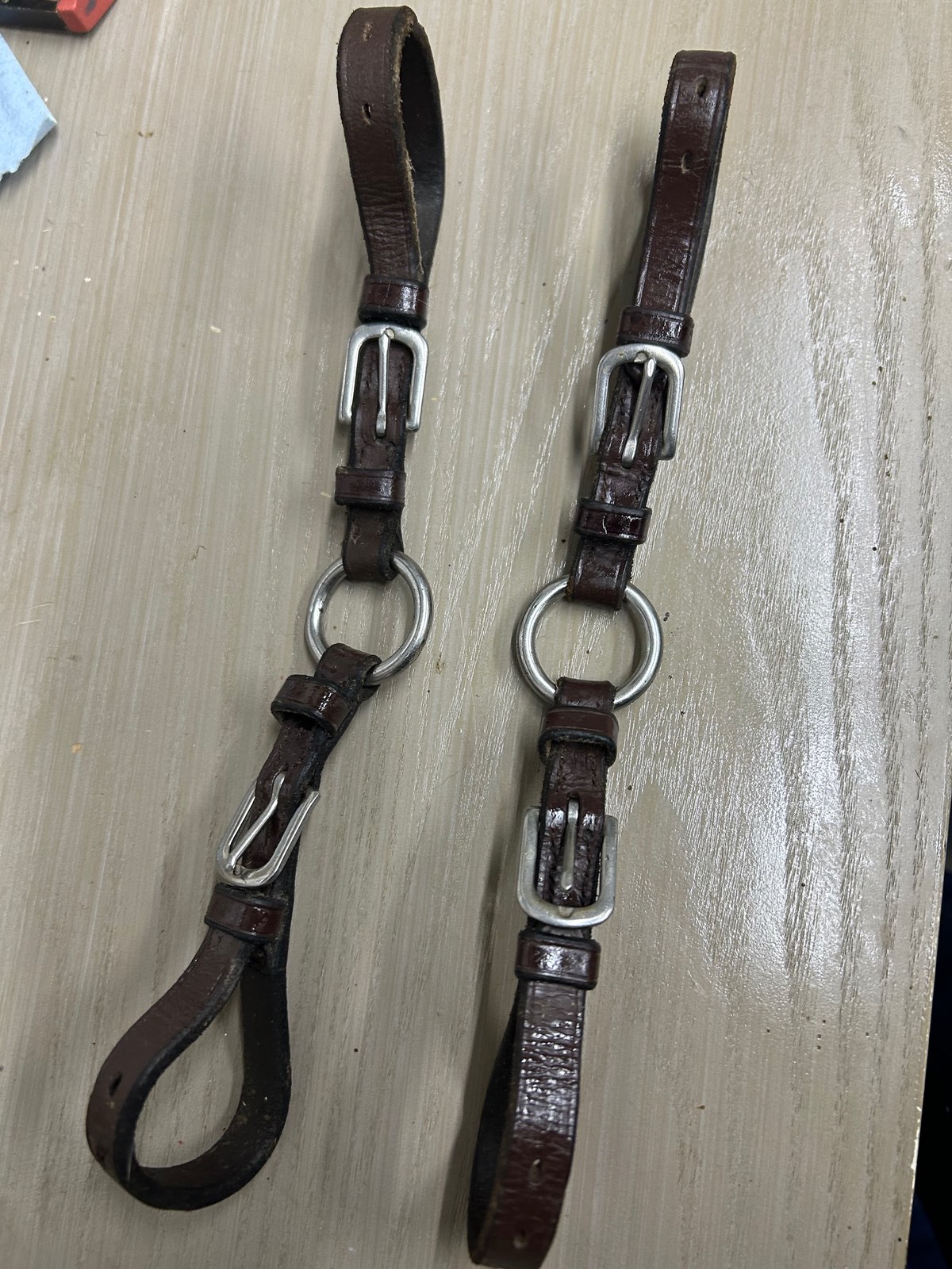 Reins