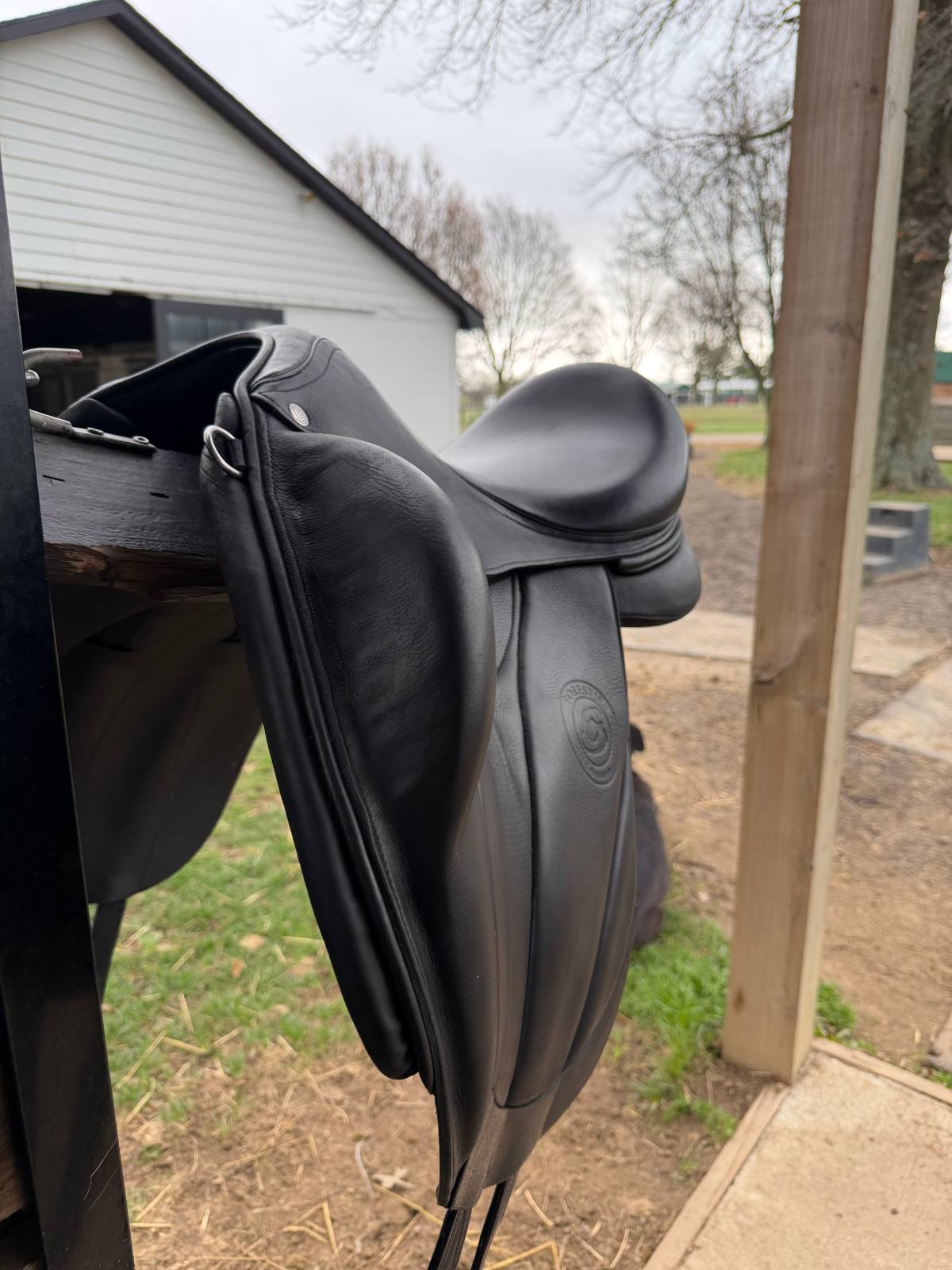 Forestier | 17.5" |MW Tree Size | 2024