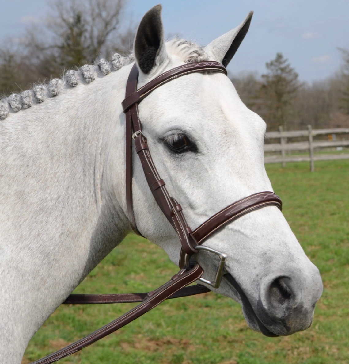 Huntley Equestrian Bridle
