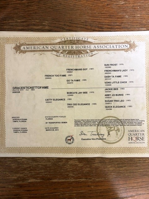 Registered Quarter Horse, Quarter Horse mare