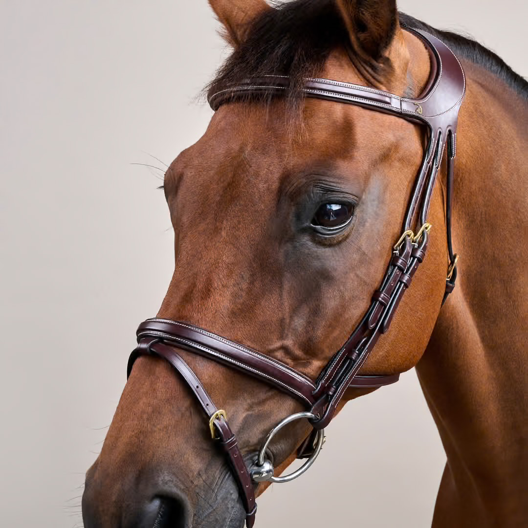 DY'ON Difference Bridle DY Snaffle Bridle Brown Leather Full Size Horse
