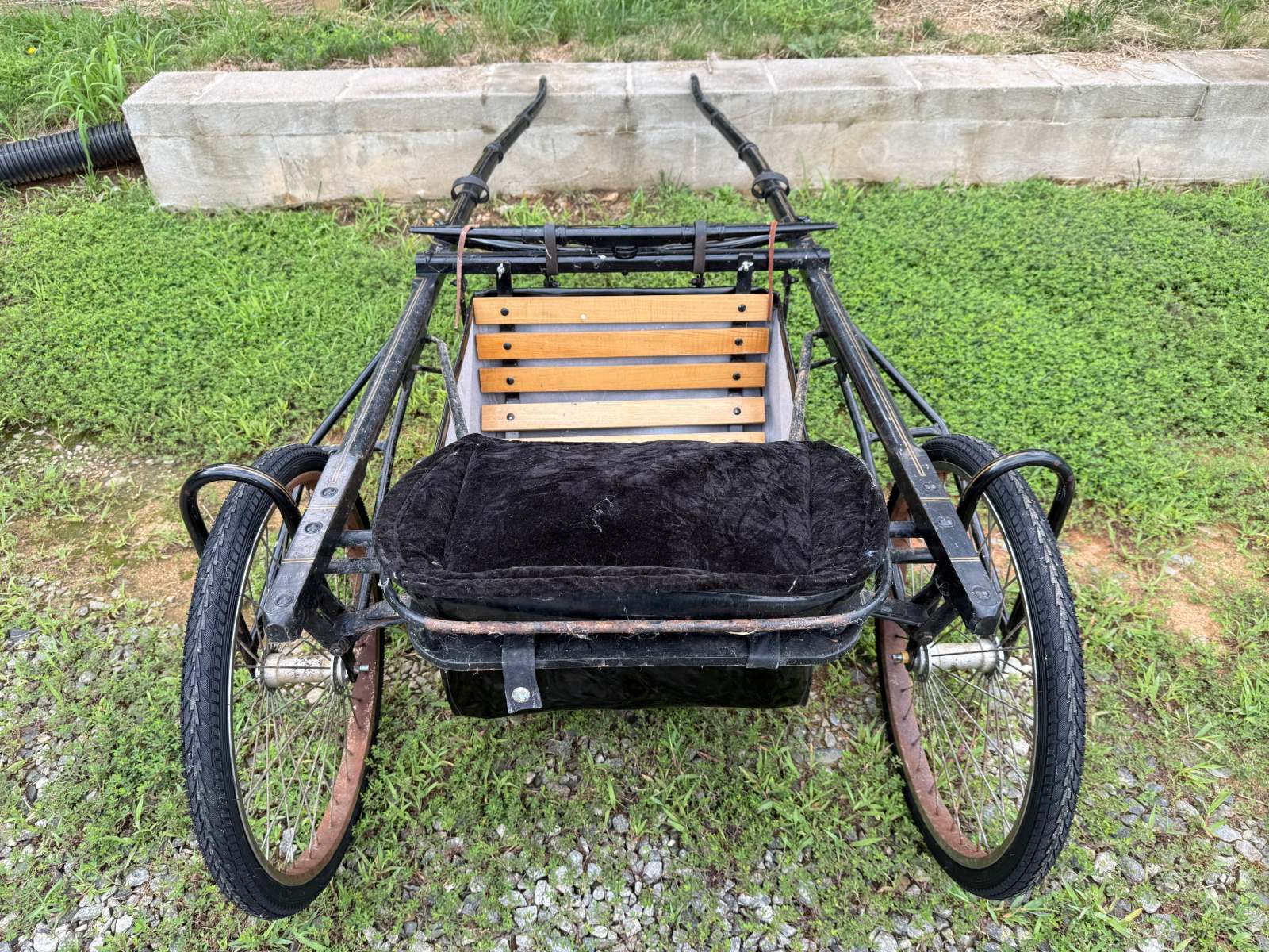 Jerald Show Cart with Cover | Mini Horse | FIXER UPPER
