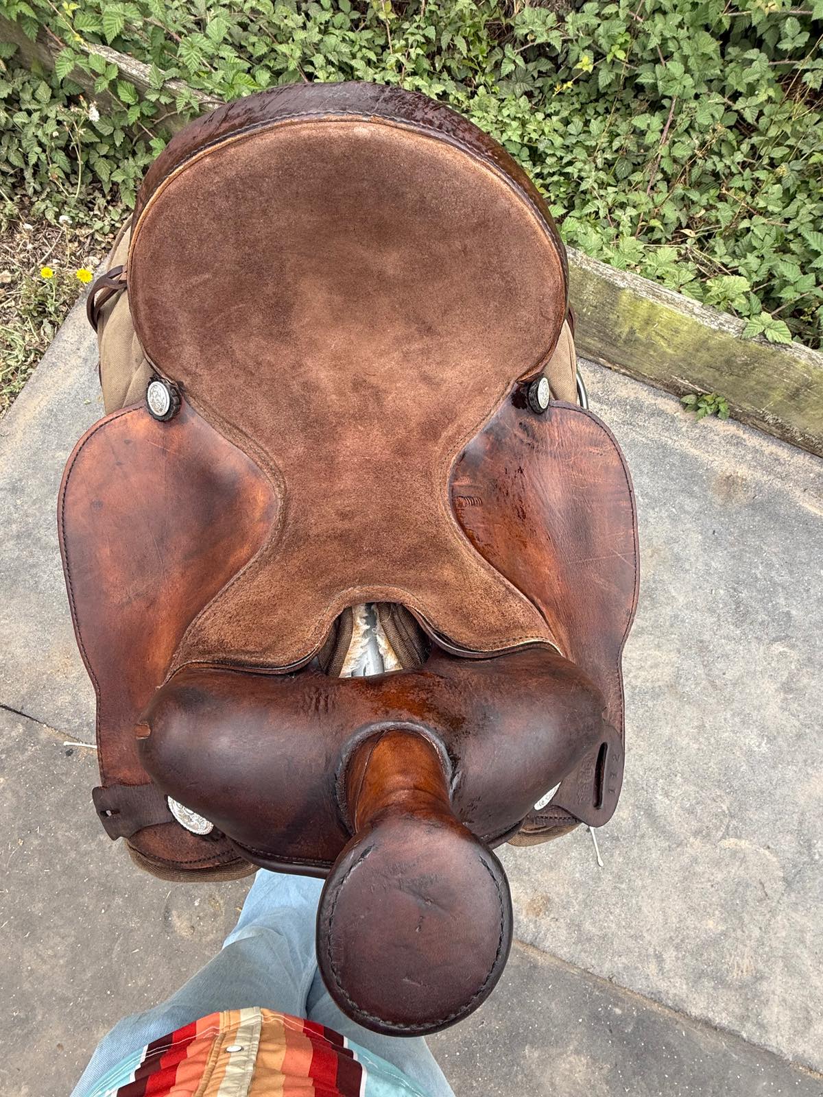 BIG HORN | 14" 112 | 6.25" Tree Size