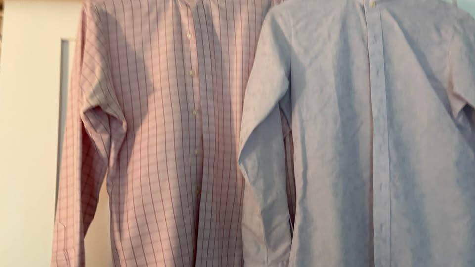 2 Essex Classics Performance Show Shirts, Size 34, with 4 Matching Collars