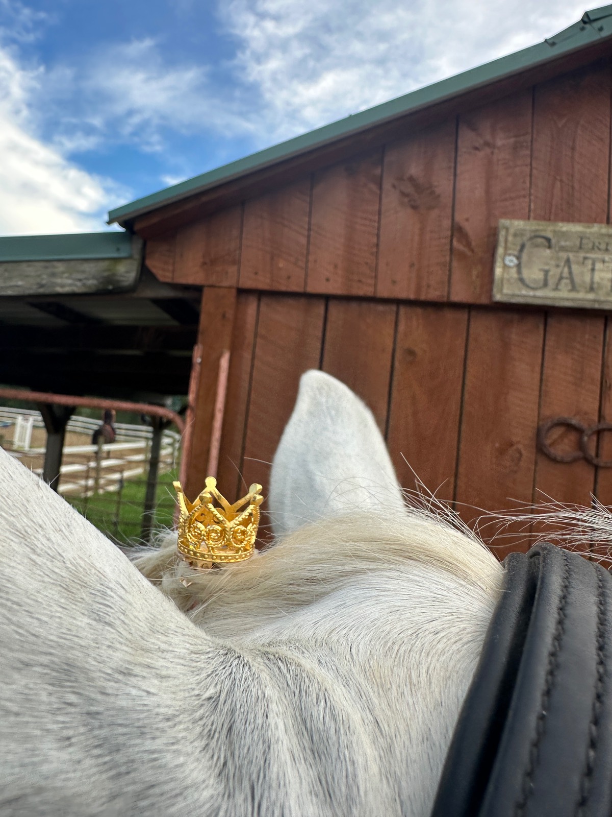 Perfectly Pretty Pony Accessories