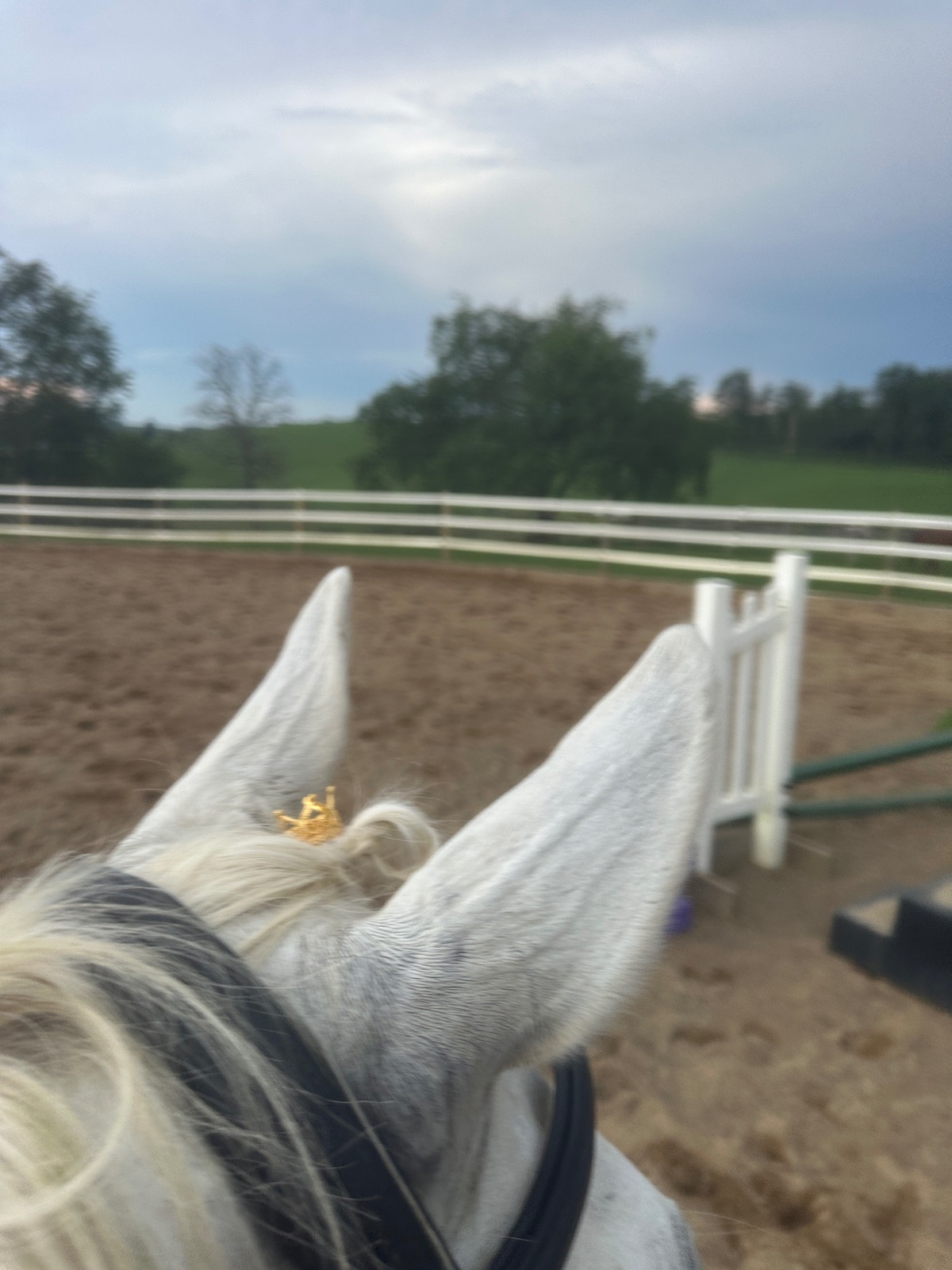 Perfectly Pretty Pony Accessories