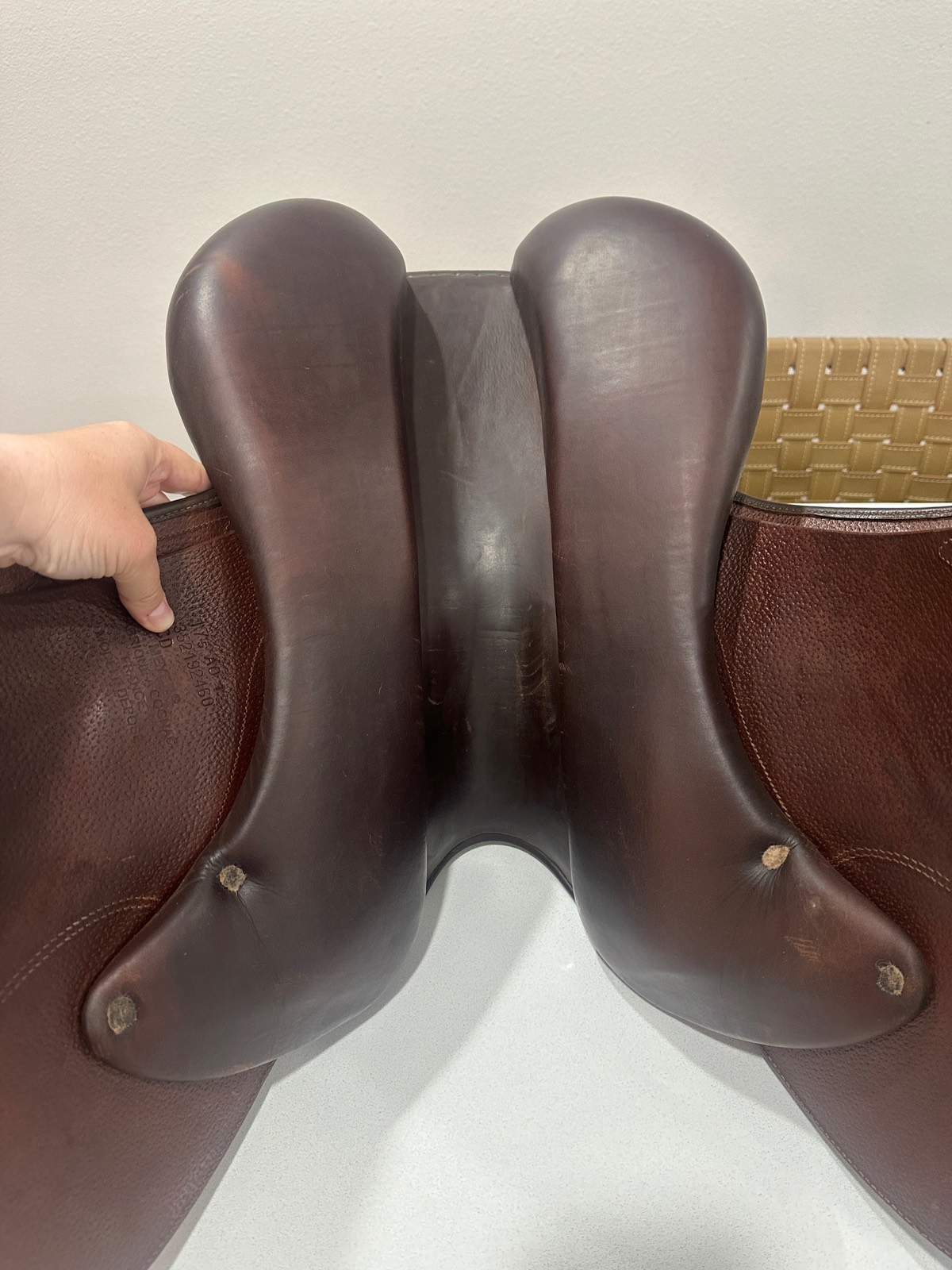 Meyer | 17.5" 1CD | 5.5" Tree Size | 2019
