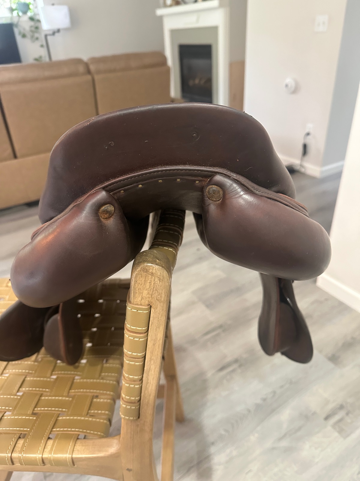 Meyer | 17.5" 1CD | 5.5" Tree Size | 2019