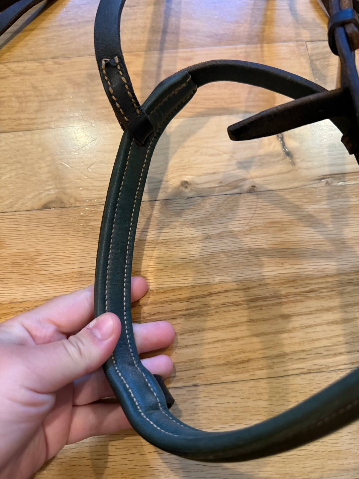 Courbette Bridle