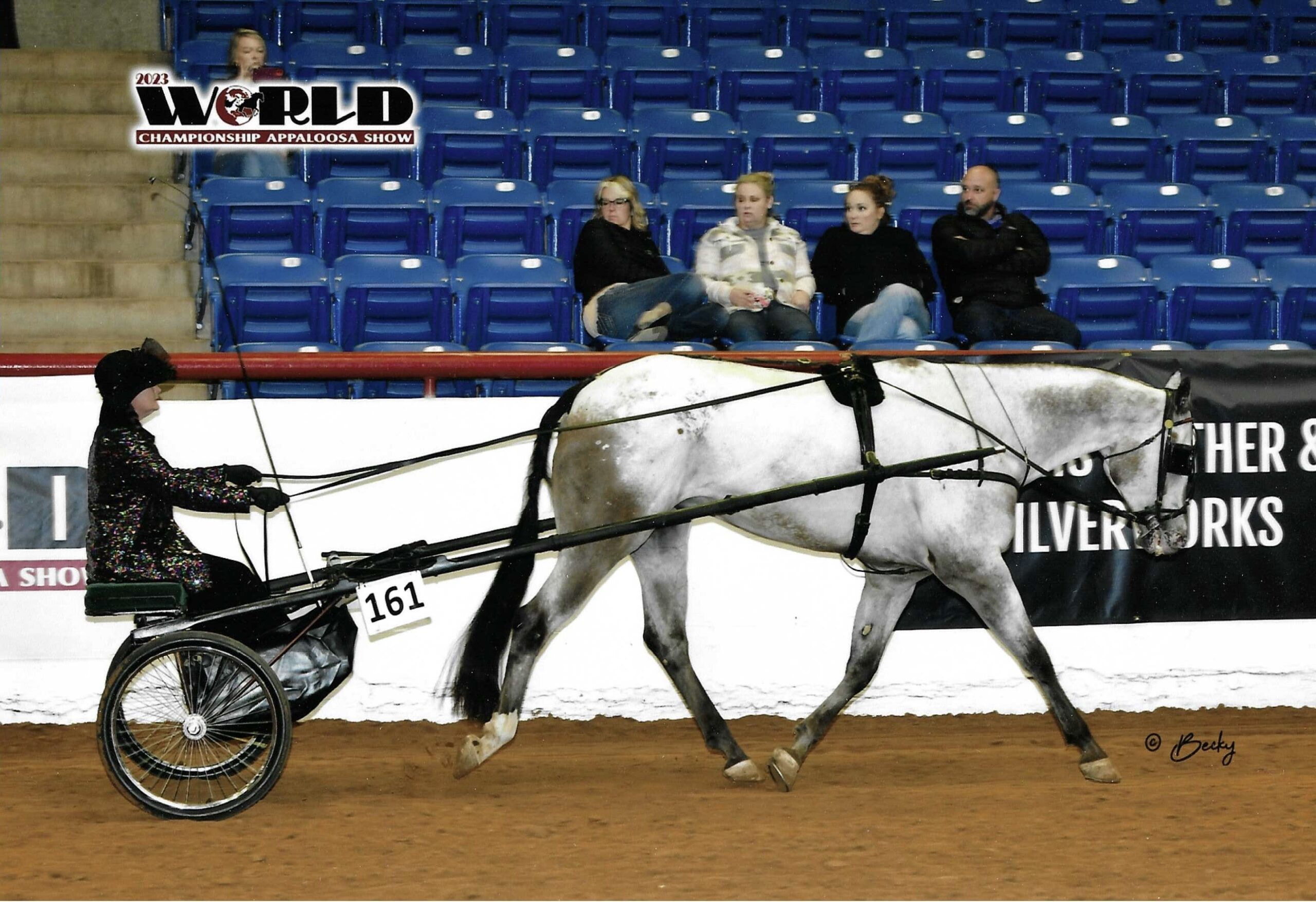 Dugan, 13yo Appaloosa gelding, 16.1hh