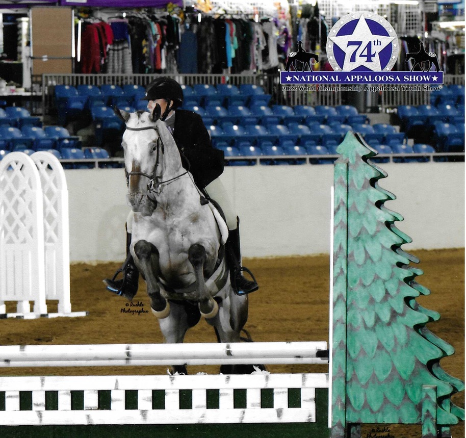 Dugan, 13yo Appaloosa gelding, 16.1hh