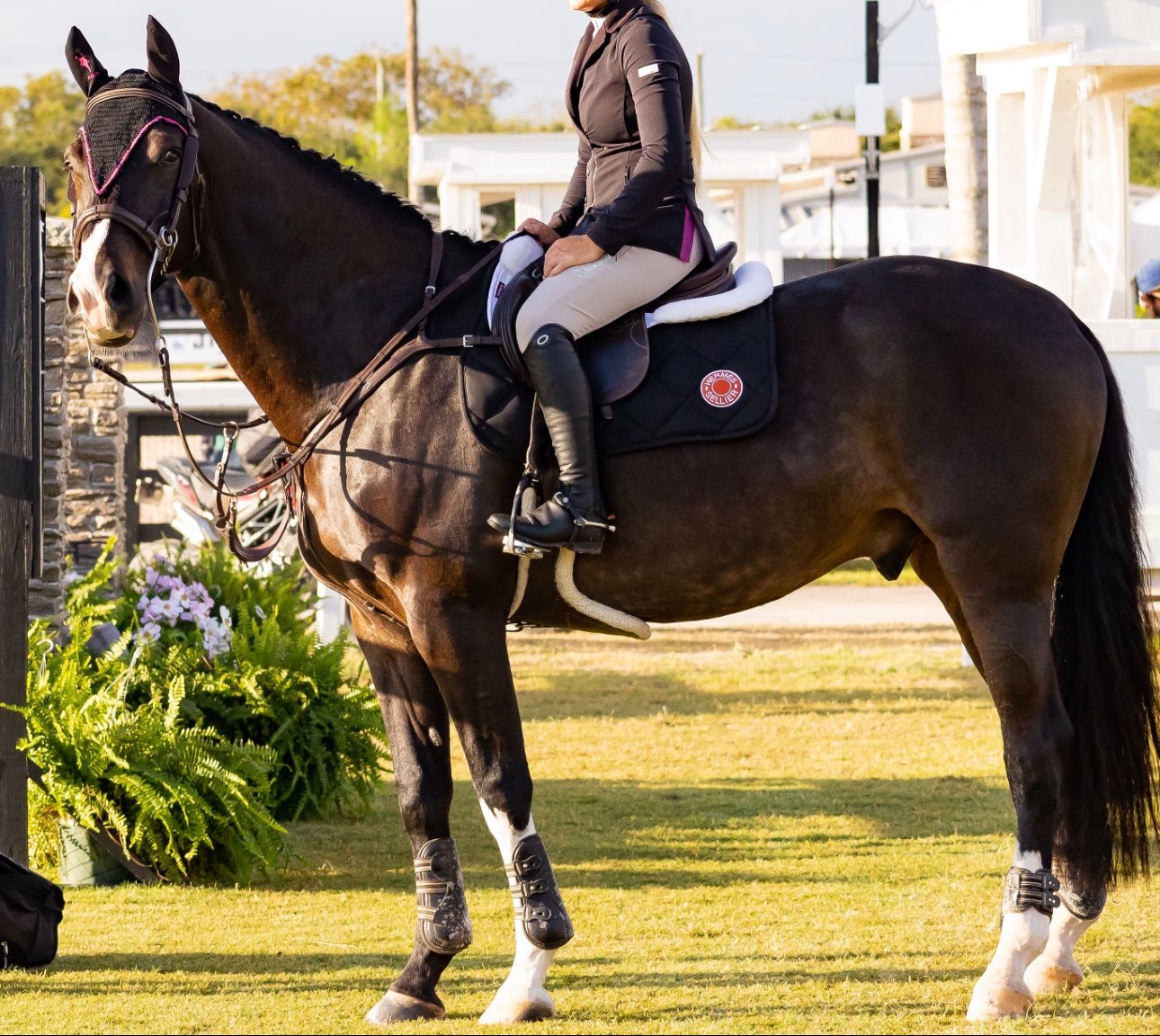 THE TAILORED SPORTSMAN Polo & Shirt