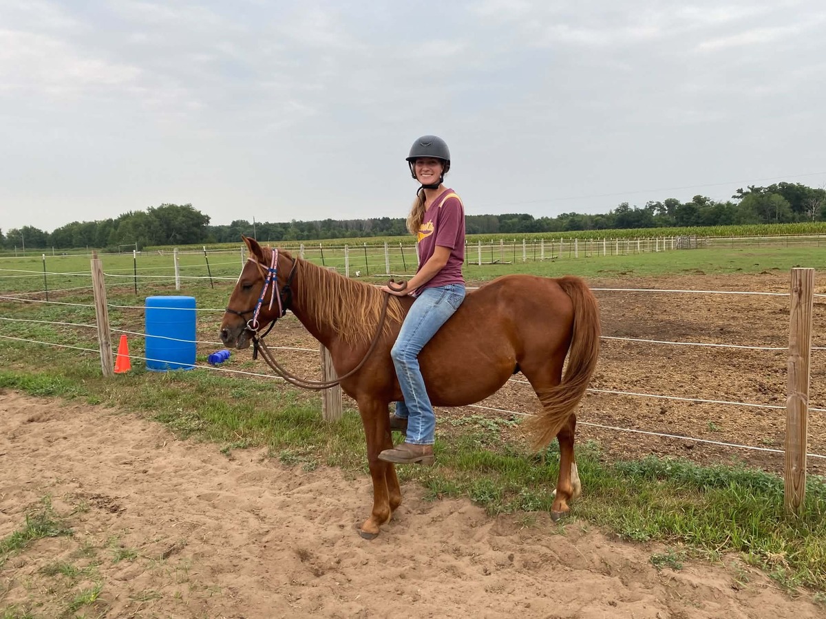 Squirt, 2yo Standardbred/Pony gelding, 13.2hh