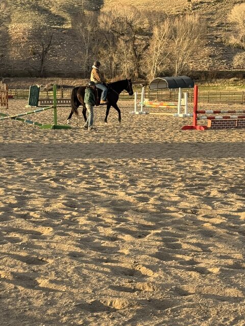 Lady, 10yo Tennessee Walker mare, 15.2hh