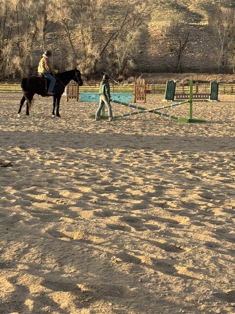 Lady, 10yo Tennessee Walker mare, 15.2hh