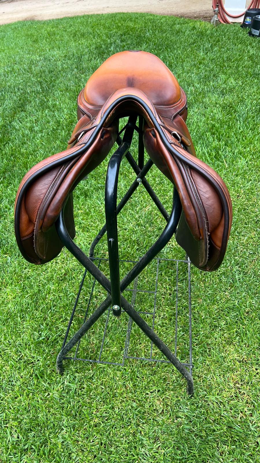 PRESTIGE | 17" | 7" Tree Size | 2024