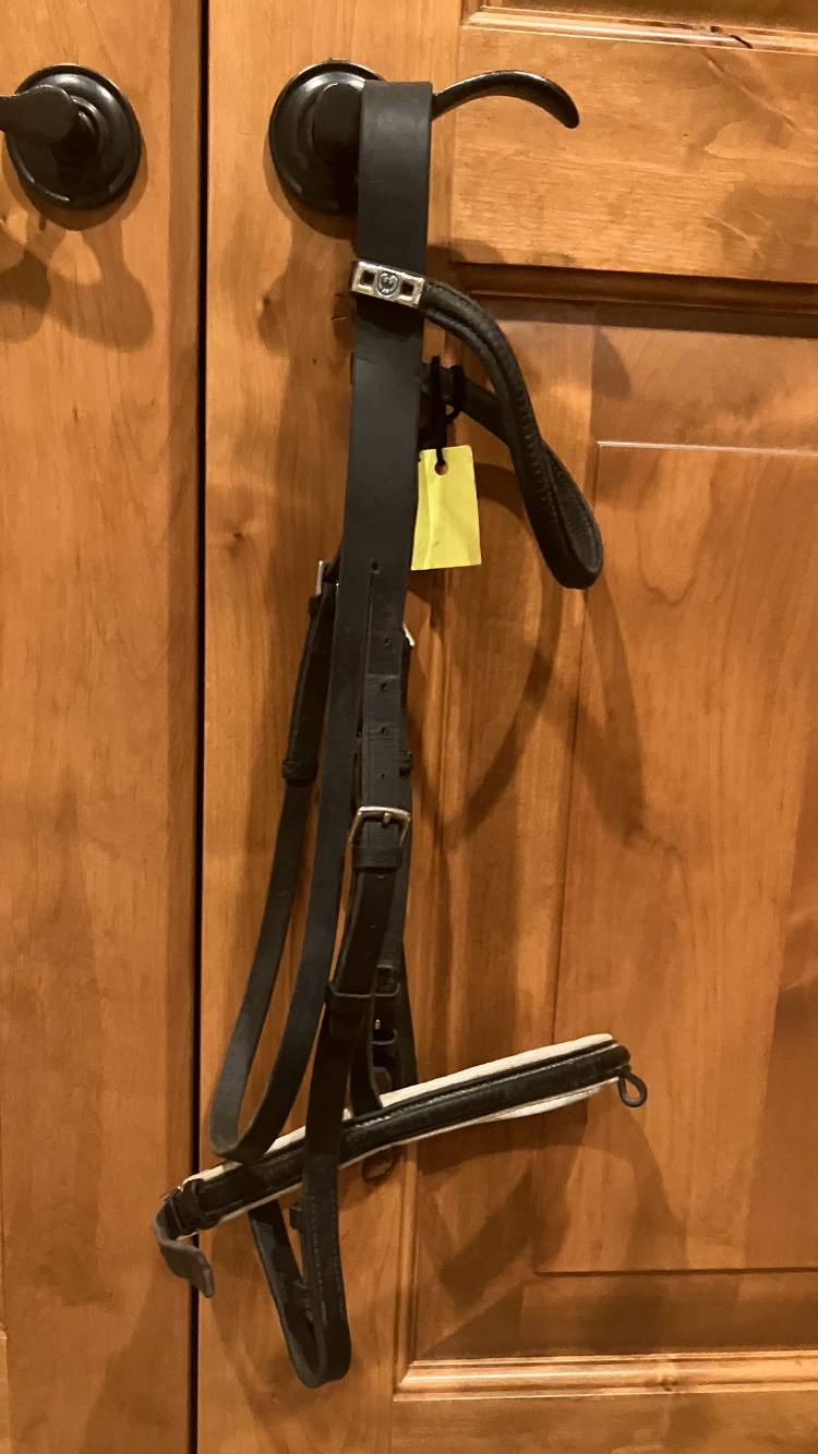 STUBBEN Dressage Bridle