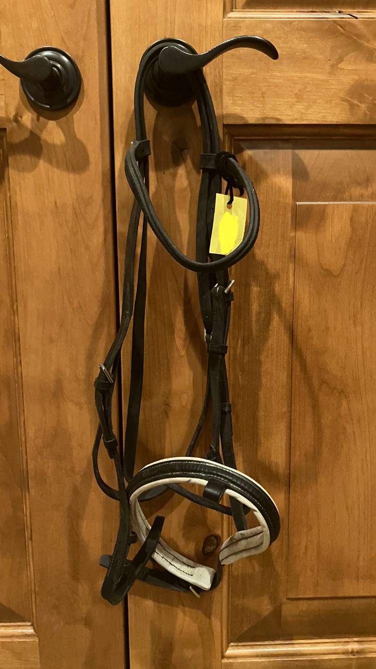 STUBBEN Dressage Bridle
