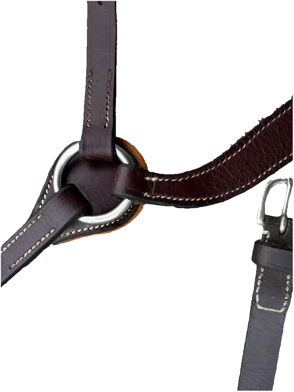 ExionPro Anatomical Combined Flash Noseband – Cob – Vegetable Tanned Leather- Oak Brown