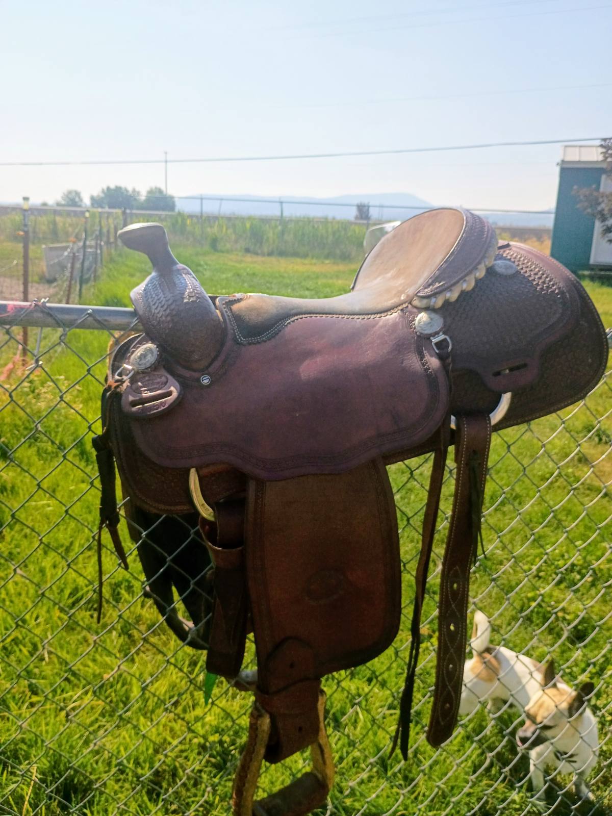 Billy cook sulphur Oklahoma | 16" Excellent condition been stored most of its life | 7" Tree Size | Before 2010