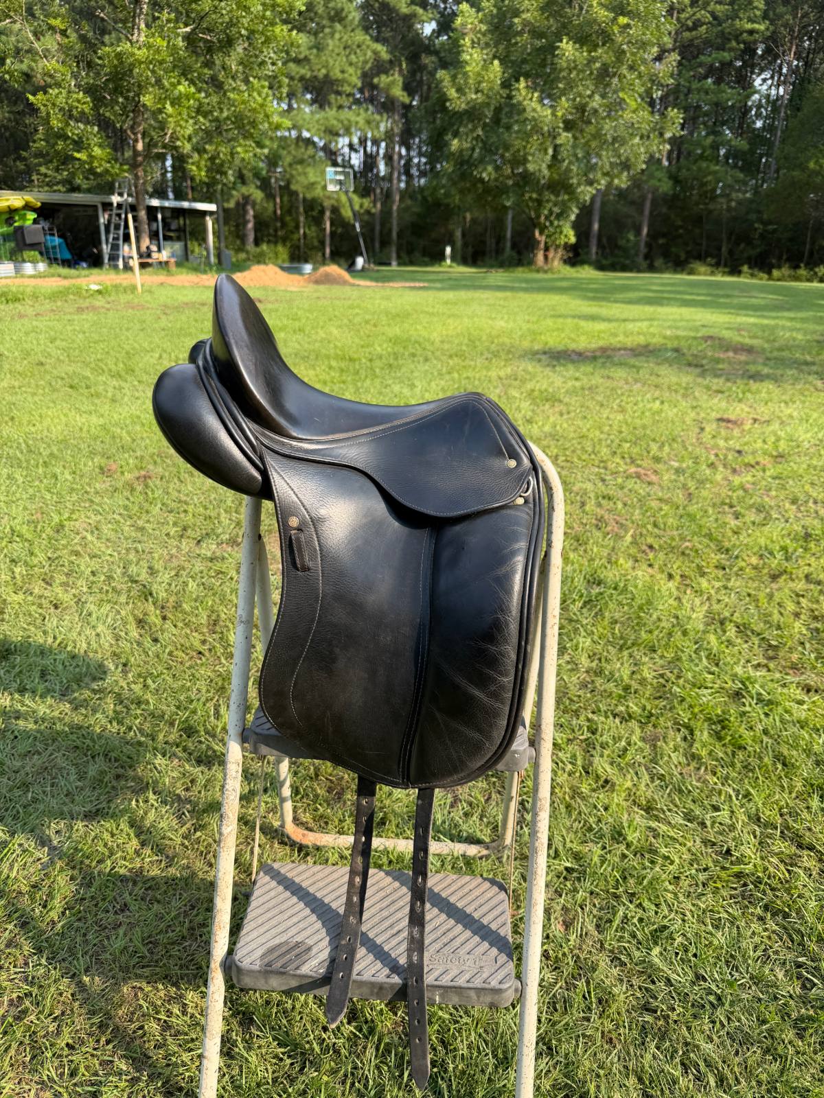 16.5" Schleese Wave Dressage Saddle – Hennig Adjustable Tree – Black
